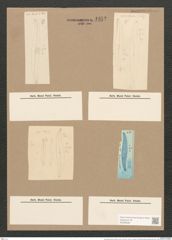 Pleurosigma spencerii (Queck.) W.Sm. (de-Toni-Nr.: Genus 13, Species 1076) Zeichnungen Sammlung Grunow Nr. 1952 (NHMW-BOT-W0369092)